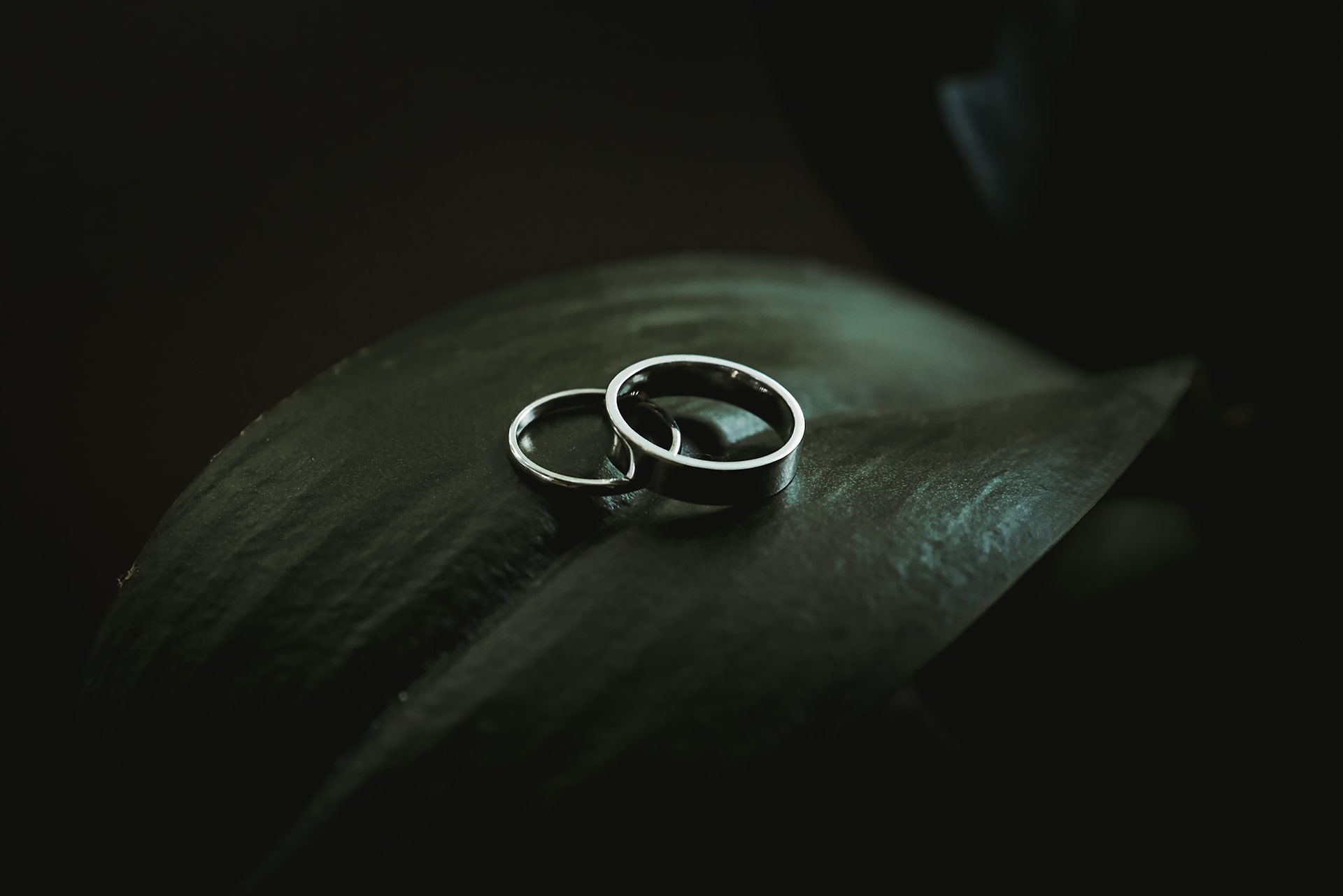 The Rings